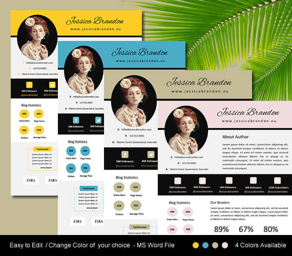 2 pages electronic press kit template for blogger