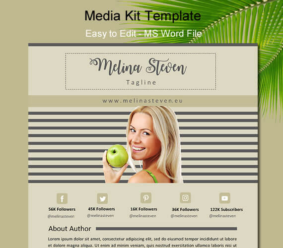 Professional blogger media kit template MS word