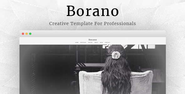 best photography wordpress theme borano