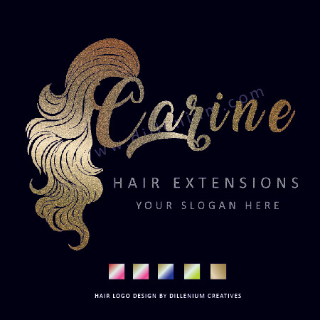 hair extensions logo